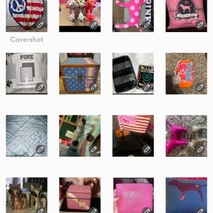 ISO in search of Victoria's secret pink dogs props